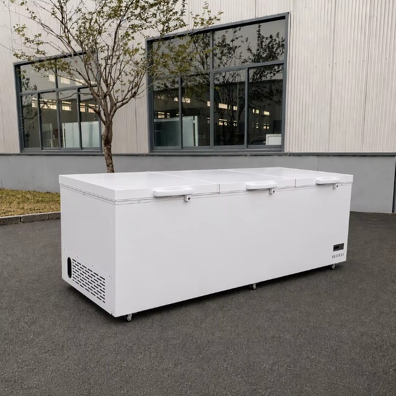 Congelador Horizontal Comercia - Commercial Chest Freezer reseña y precio
