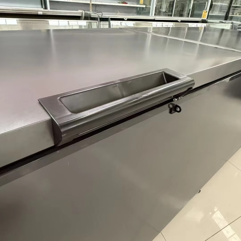 Congelador Horizontal de Doble - Commercial Chest Freezer reseña y precio